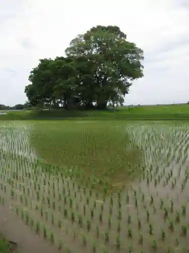 神明神社(千葉県)