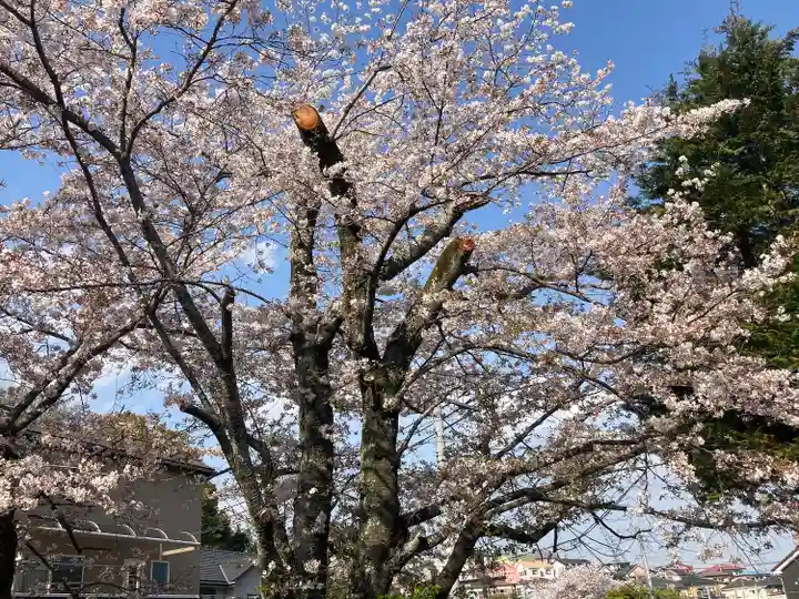 蓮大寺(神奈川県)