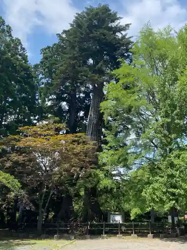 七戸神明宮(青森県)