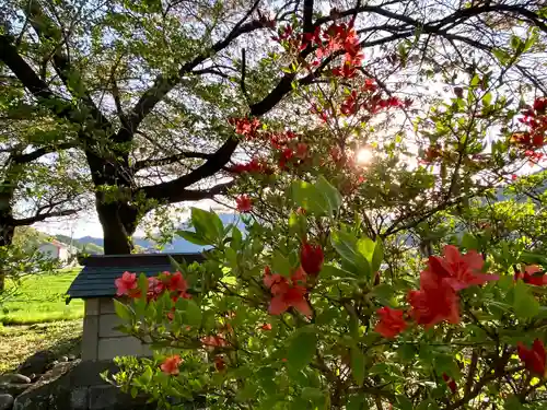 天神宮(伝河原氏屋敷跡)の自然