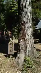 瀧神社の建物その他