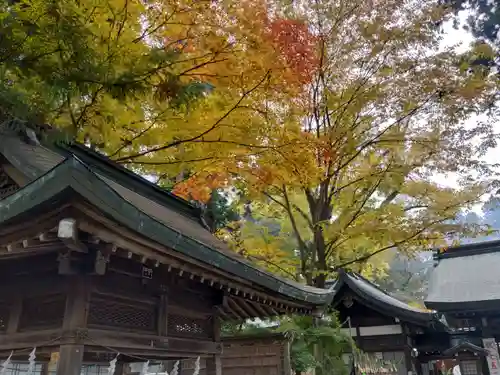 駒形神社の自然