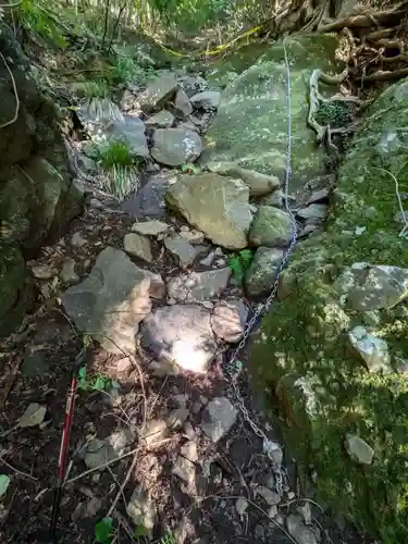 妙義神社 奥の院の自然