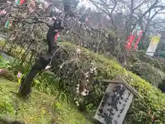 岡寺（龍蓋寺）(奈良県)