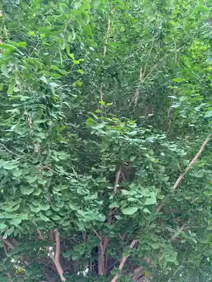 石雲寺(福島県)