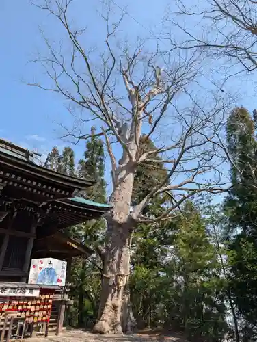 横山八幡宮(岩手県)