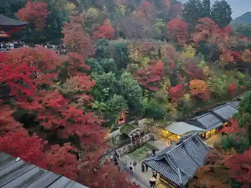 清水寺(京都府)