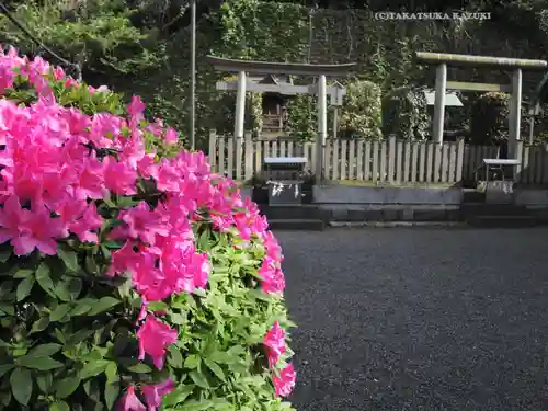 元町厳島神社の自然