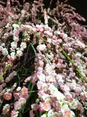 成願寺(東京都)