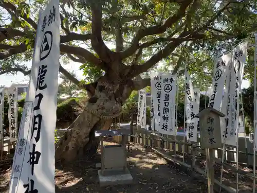 龍口明神社の自然