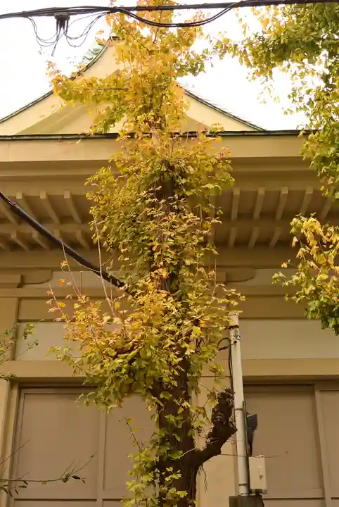 矢先稲荷神社(東京都)