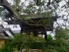 東光寺(滋賀県)