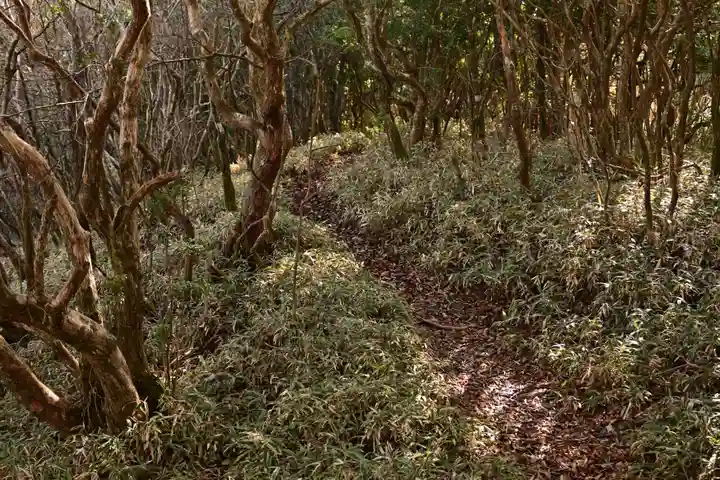 定福寺奥之院(高知県)