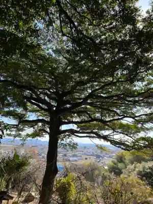 吉備津岡辛木神社(岡山県)
