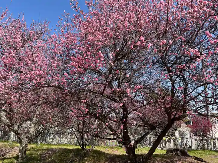 御厨神社(兵庫県)