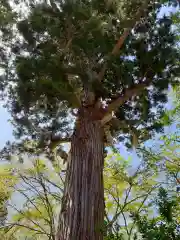 走湯神社(岩手県)