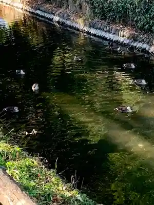 氷川女體神社(埼玉県)