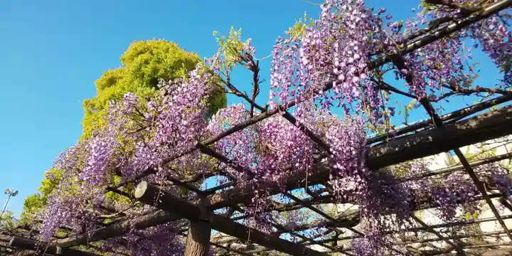 亀戸天神社の庭園