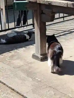 南品川諏訪神社(東京都)