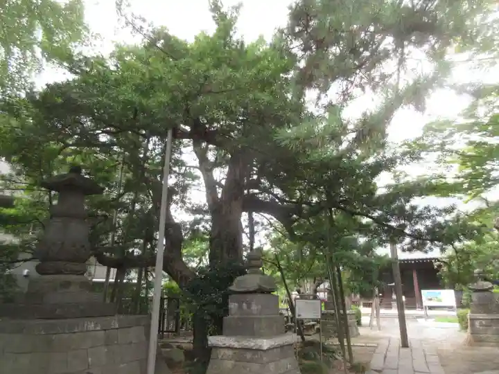 金蓮院(東京都)
