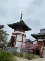 一畑山薬師寺 岡崎本堂の{uncategorized: "未分類", other: "その他", undefined: "問題あり", building: "その他建物", grave: "お墓", sacred_gate: "鳥居", guardian: "狛犬", statue: "像", buddha: "仏像", history: "歴史", nature: "自然", garden: "庭園", animal: "動物", pagoda: "塔", temizu: "手水舎", mountain_gate: "山門・神門", sanctuary: "本殿・本堂", subordinate: "末社・摂社", art: "芸術", scenery: "景色", jizo: "地蔵", ema: "絵馬", goshuin: "御朱印", omikuji: "おみくじ", items: "授与品その他", amulet: "お守り", goshuincho: "御朱印帳", eats: "食事", festival: "お祭り", votive_dance: "神楽", shichigosan: "七五三参", wedding: "結婚式", experience: "体験その他", initially: "初詣", around: "周辺", anti_infection: "感染症対策"}