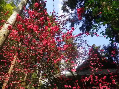 御霊神社の自然