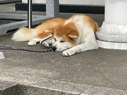 願成就院の動物