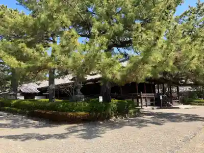 法隆寺(奈良県)