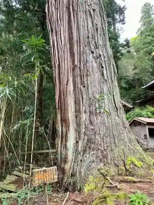 長谷寺(新潟県)