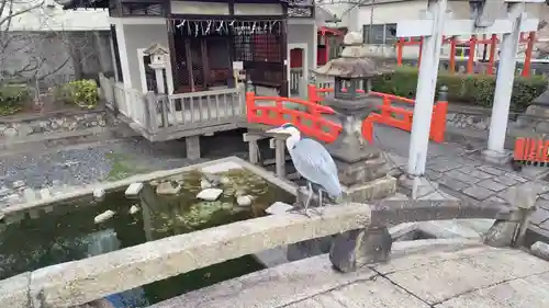 六孫王神社(京都府)