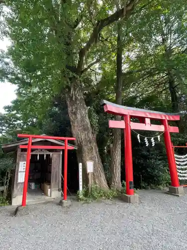 白笹稲荷神社(神奈川県)