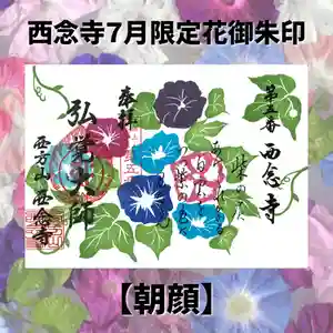 浄土宗 西念寺の御朱印 2026年07月01日(水)〜(2026年06月29日(月) 16時11分52秒投稿)