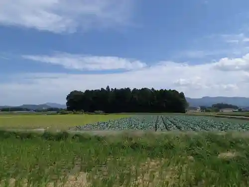 小社神社（皇大神宮末社）の自然