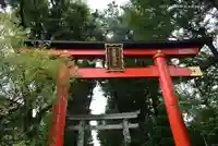 馬橋稲荷神社の鳥居
