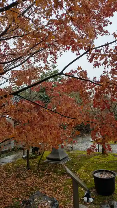 勝林寺(京都府)