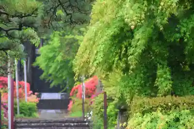 豊景神社の景色