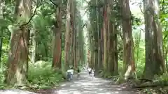 戸隠神社奥社(長野県)