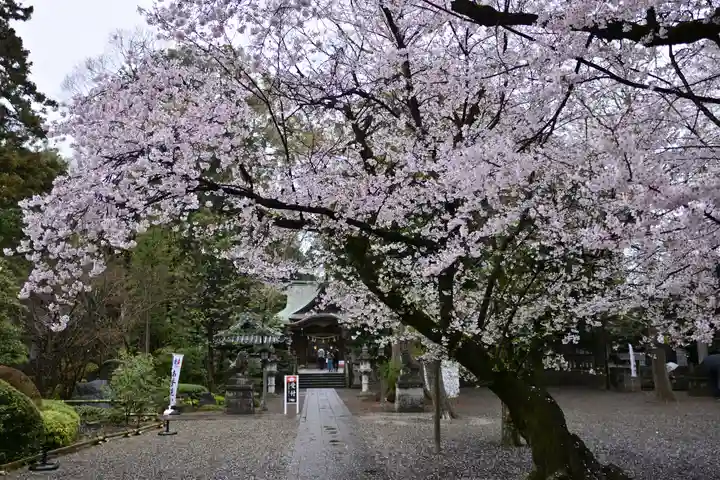岩槻久伊豆神社(埼玉県)