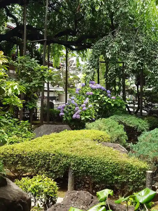 玉蔵院(埼玉県)