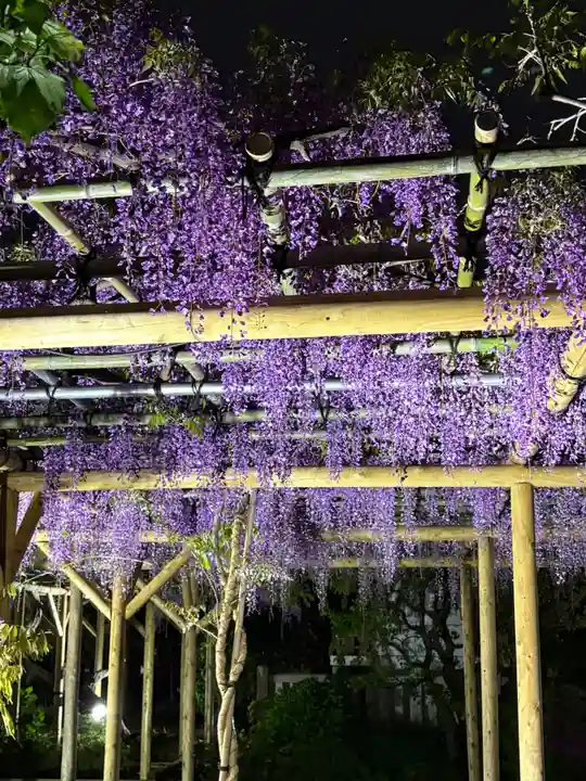 亀戸天神社(東京都)