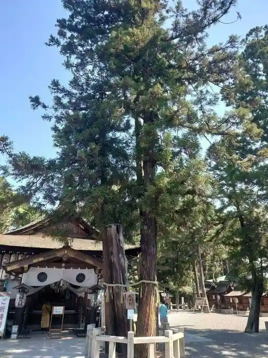 建部大社(滋賀県)