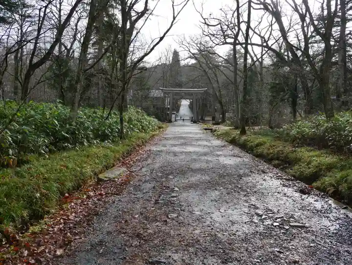 戸隠神社奥社の景色