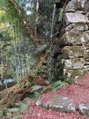 高源寺(兵庫県)