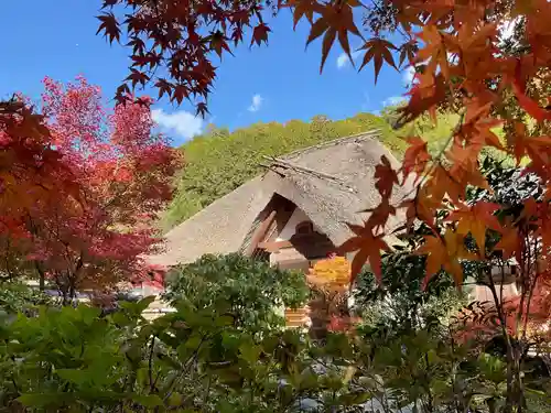 直指庵(京都府)