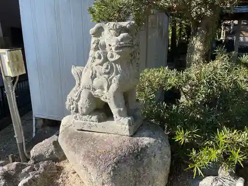 赤坂神社の狛犬