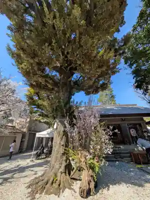 蛇窪神社(東京都)