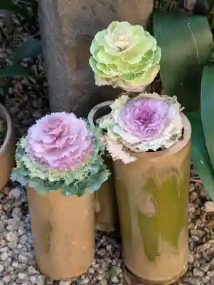 一心寺(東京都)