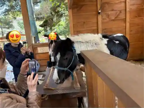 平塚八幡宮(神奈川県)