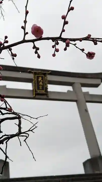 長岡天満宮(京都府)
