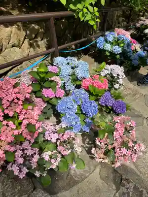 長谷寺(奈良県)